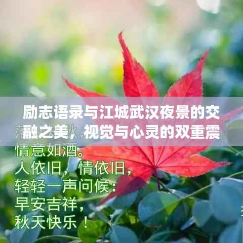励志语录与江城武汉夜景的交融之美,视觉与心灵的双重震撼