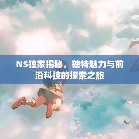 NS独家揭秘,独特魅力与前沿科技的探索之旅