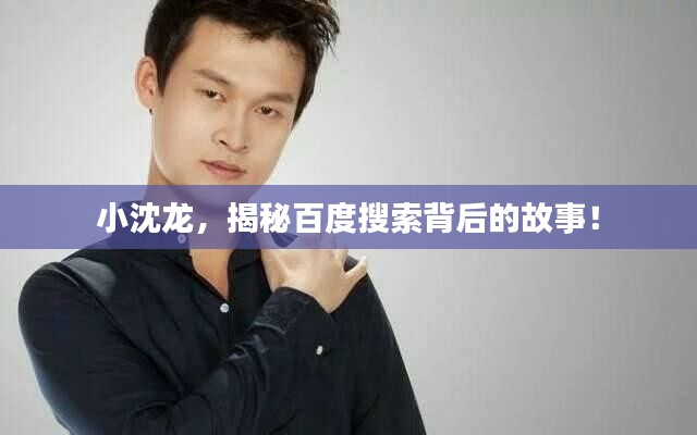 小沈龙,揭秘百度搜索背后的故事!