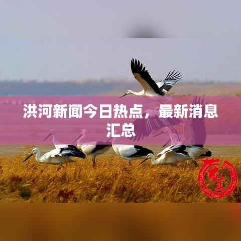 洪河新闻今日热点,最新消息汇总
