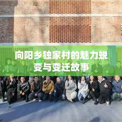 向阳乡独家村的魅力蜕变与变迁故事