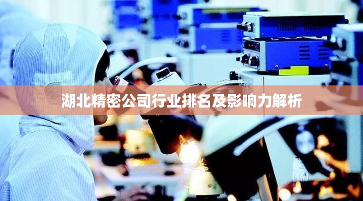 湖北精密公司行业排名及影响力解析