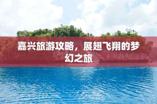 嘉兴旅游攻略,展翅飞翔的梦幻之旅