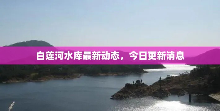 白莲河水库最新动态,今日更新消息