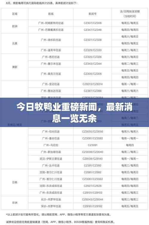 今日牧鸭业重磅新闻,最新消息一览无余