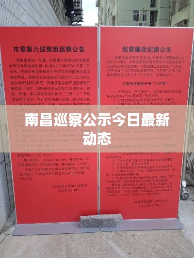 南昌巡察公示今日最新动态