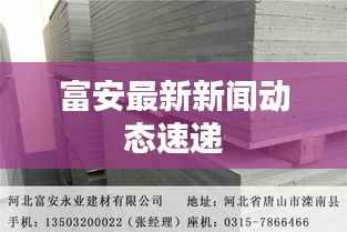 富安最新新闻动态速递