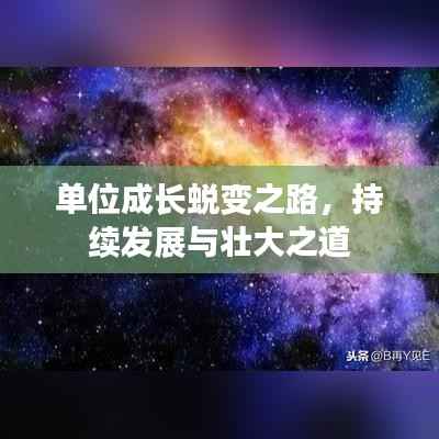 单位成长蜕变之路，持续发展与壮大之道