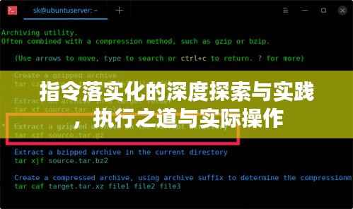 指令落实化的深度探索与实践,执行之道与实际操作