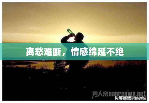 离愁难断,情感绵延不绝