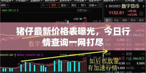 猪仔最新价格表曝光,今日行情查询一网打尽