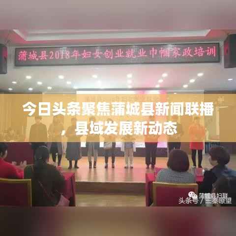 今日头条聚焦蒲城县新闻联播,县域发展新动态