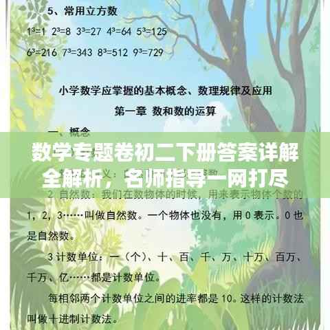 数学专题卷初二下册答案详解全解析,名师指导一网打尽